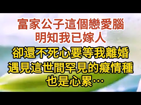 大結局【上】《不能說的秘密》第13集：富家公子這個戀愛腦，明知我已嫁人，卻還不死心要等我離婚，遇見這世間罕見的癡情種，也是心累…… #戀愛#婚姻#情感 #愛情#甜寵#故事#小說#霸總