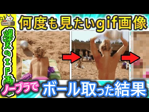 爆笑wwwカメラが捉えたおもしろGIF動画 #2ch