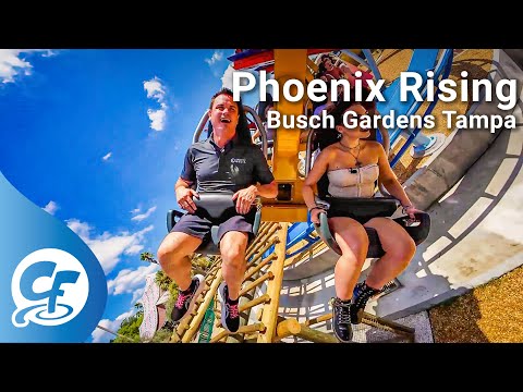 Phoenix Rising front seat on-ride reverse ridercam 4K POV Busch Gardens Tampa