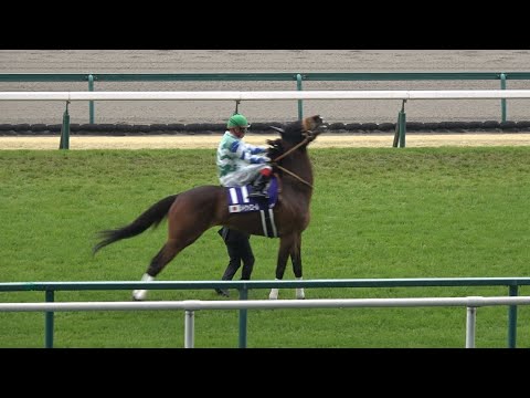 メイケイエール ラストラン 大歓声の本馬場入場【高松宮記念2024