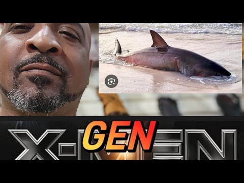 A Message to Genx ( Shark Attack)