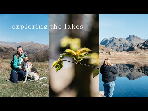 Exploring the Lakes: Blea Tarn & Loughrigg Fell | week vlog