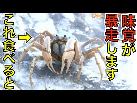 舌をバグらせるカニを大量捕獲！食べたら口に入るすべてが激甘！！YEAH!!