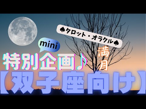 🙏💫【ふたご座♊さん】特別企画♪🔮✨《満月リーディング》✨⭕見た時がタイミング♠タロットカードリーディング♥オラクルカードリーディングもあり😀💫双子座運勢