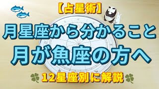 【占星術】月が魚座にある方へ♓月星座から分かることを解説しました😃🌙