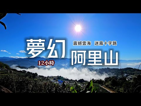 一生必訪1次㊙️阿里山漫步雲端夢幻體驗🛤️探索神秘十字路迷霧山城🏕️12小時台灣好行公車｜二延平步道❌十字路站｜TAIWAN｜【國旅玩什麼】