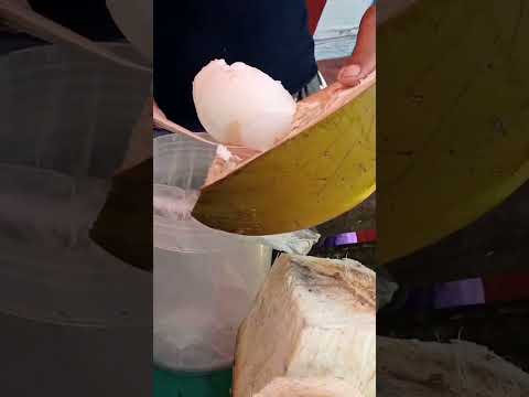 kinayod Ang sariwang laman ng buko pH street food #satisfying #streetfood #youtubeshorts #Gatchie Jr