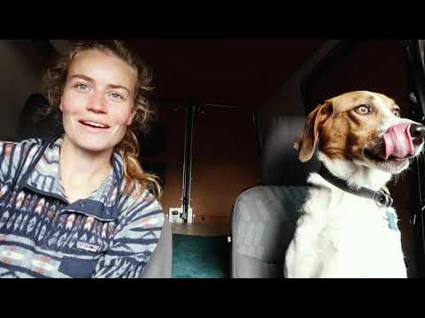 A Weekend at Home with Athena & Oslo | vlog