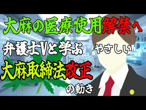 【 #法律解説 】医療用大麻解禁　大麻使用罪新設　弁護士Vと学ぶ やさしい 大麻取締法改正の動き【弁護士Vながのりょう】#弁護士　　※概要欄に追記あり