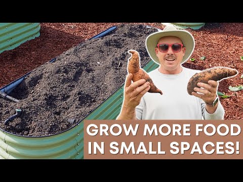 How to Grow a Ton of Food with Just 12 Square Feet!