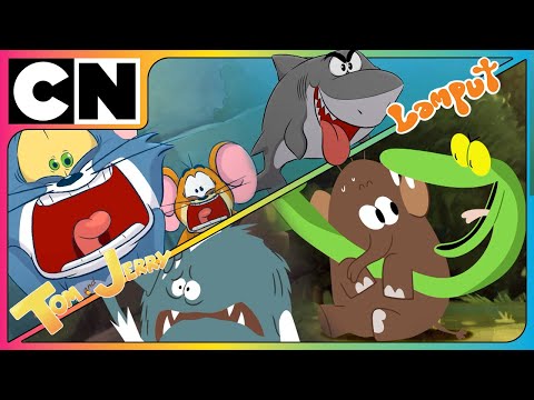 🦈🦖 Discover New Creatures With Lamput & Tom and Jerry | Compilation | @cartoonnetworkasia