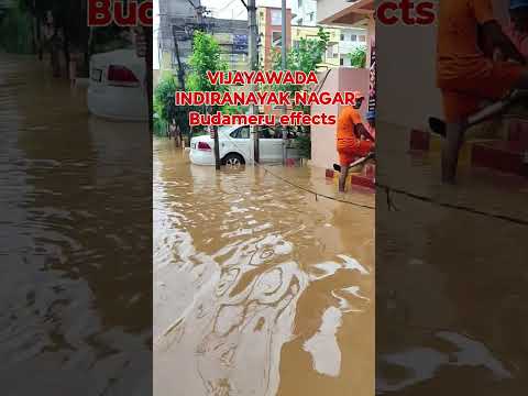 Vijayawada floods | Indira Nayak nagar