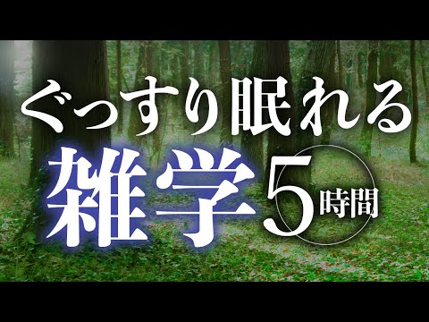 【睡眠導入】ぐっすり眠れる雑学5時間【合成音声】