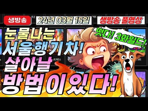 🔥03월15일 생방송1부 지금은 마녀시대!!🔥[슬롯][슬롯 생방송][프라그마틱][온라인슬롯][슬롯라이브][강원랜드][슬롯머신][슬롯마녀]