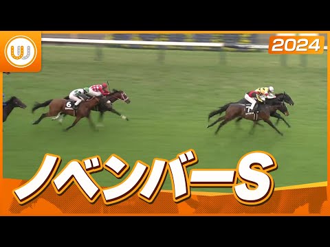 【レース映像】ノベンバーステークス｜コントラポスト（横山和生）｜ウイニング競馬