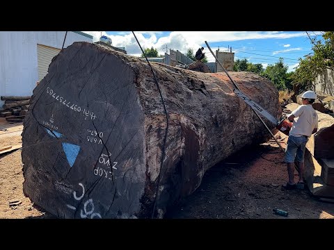 Wood Cutting Skills // Workers Operate Giant Wood Saws Non-Stop