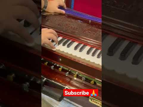 surtaal harmonium 3line palitana reed baas male female #world #class #harmonium #viral #short #video