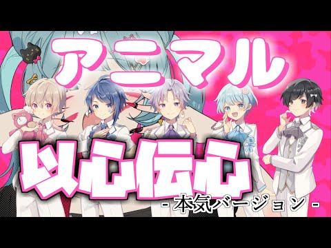 【歌詞分けなしで歌ってみたwwwww】アニマル / セブプラ