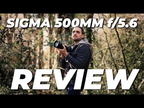 Sigma 500mm f/5.6 DG DN OS Sports Lens Review | An Awesome Telephoto Prime Lens