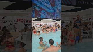 reason visit to DUBAI beach club / pool party #dubai #dubaibeach #dubaibeachclub