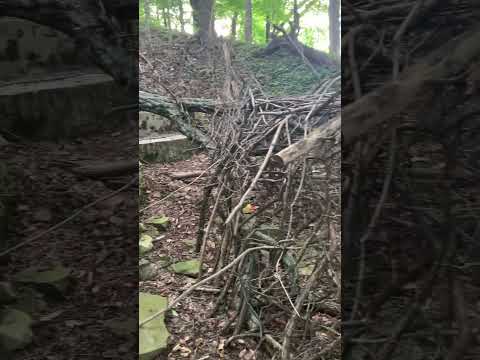 Stumbled upon this in the woods….reminds me of Blair witch❗️