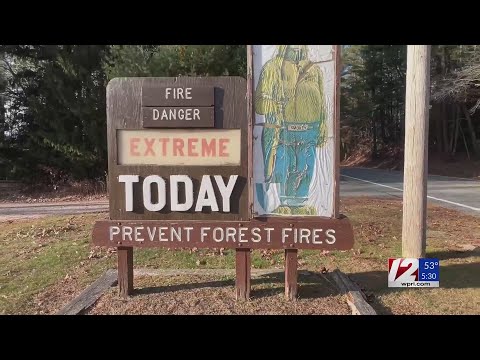 Steps you can take to help prevent brush fires