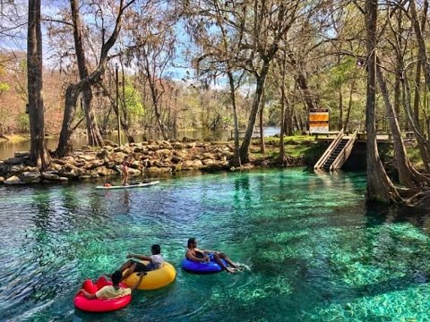 Top 11 Springs in Central Florida