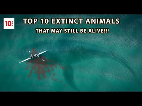 Top 10 EXTINCT ANIMALS that may still be ALIVE !!! 2019 !!!! (MUST SEE, STRANGE)