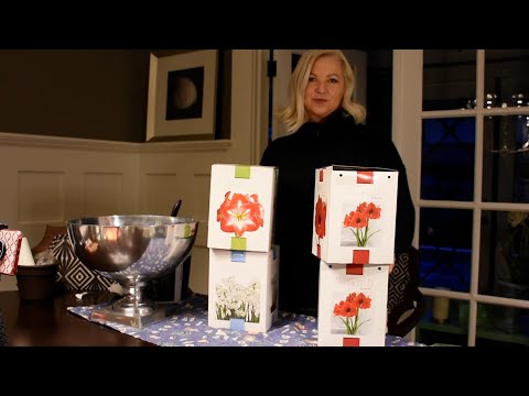 Amaryllis & Paperwhites - Unbox, Pick a Vessel, and Plant.