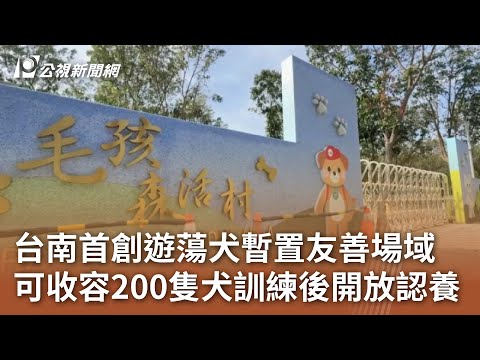 台南首創遊蕩犬暫置友善場域 可收容200隻犬訓練後開放認養｜20241113 公視中晝新聞