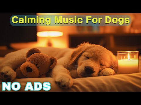 12 HOURS of Dog Calming Music For Dogs🎵💖Anti Separation Anxiety Relief Music🐶Sleep dog Healing🎵