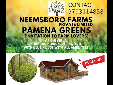 NEEMSBORO FARMS