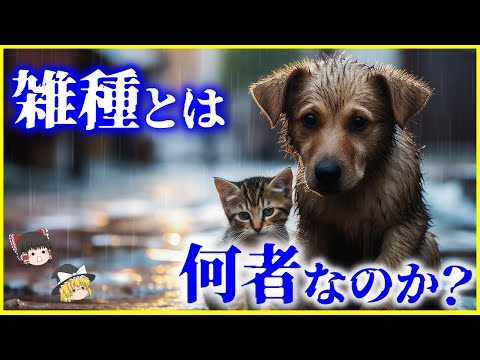 【ゆっくり解説】純血種より強くて賢い⁉️「雑種」とは何者なのか？を解説/ミックスとの違いは…？ハイブリッド動物の闇とは