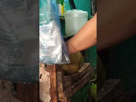 impressive coconut cutting ASMR #satisfying #coconutwater #cuttingskills #youtubeshorts #Gatchie Jr