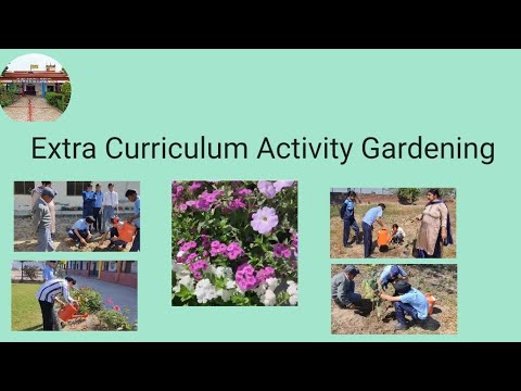 Extra Curriculum Activity Gardening #students #school #2024 #viral #youtubevideos