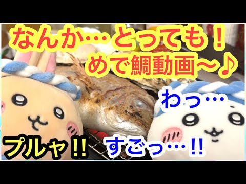 【ちいかわ】ちいかわ寿司延長戦！！鯛を焼いてなんかすっごくめで鯛！！動画＾＾