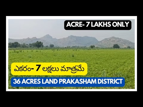 36 Acres land sale || Prakasham district || Acre 7 lakhs only