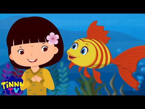 Machali Wala Cartoon, मछली जल की रानी है, Billi Mausi + More Hindi Rhymes For Kids By Tinnu Tv