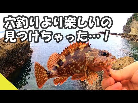 穴釣りの1歩先へ。これが「ちょい投げアラカブ」だぁぁ！#fishing #穴釣り