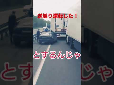 煽り運転！？逆じゃねーかー　#Shorts