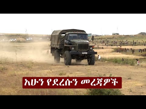 Ethiopia አሁን የደረሰን መረጃ | The Ethiopia News Now Ethiopia News November 3, 2024 | The Ethiopia Channel