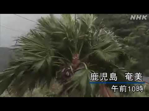 台風9号　沖縄、奄美大島