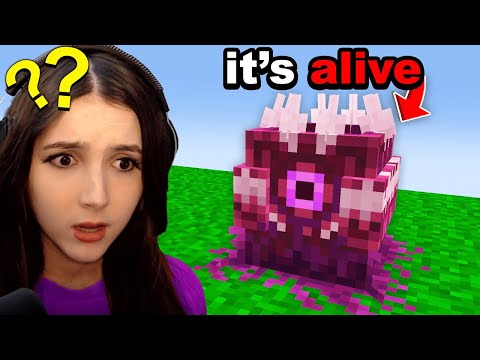 I Made BLOCKS ALIVE in her Minecraft World...