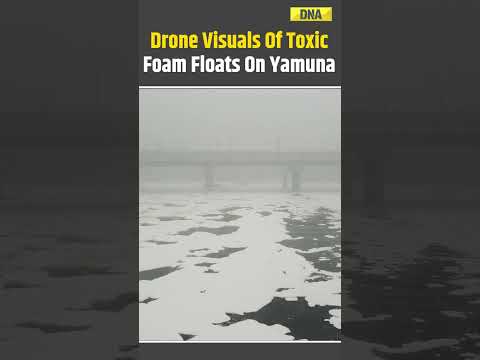 Drone Visuals From Kalindi Kunj Of Toxic Foam Floating On Yamuna River #yamuna #toxicair #shorts