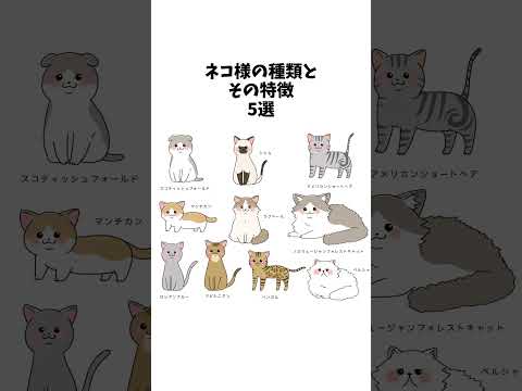 【1分雑学】猫の種類と特徴 #shorts #猫