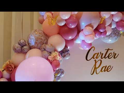 Butterfly Party Decoration | Balloon Garland | Round Backdrop