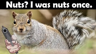 'You're Nuts' They Said. No, I'm a Squirrel. With a Gun.【Squirrel with a Gun】