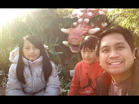 How to spend family day? Muttart Conservatory#Family Day#2024