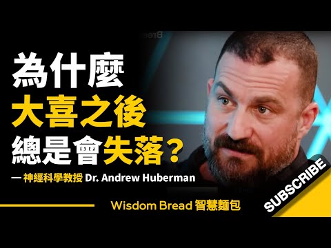 為什麼你總會在大喜之後感到失落？ ► 那是因為你做了這件事... - Dr Andrew Huberman 安德魯．休伯曼博士（中英字幕）