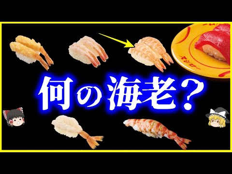 【ゆっくり解説】大手回転寿司店は公表してない⁉️回転寿司のあの海老…何のエビ？を解説/スシローのエビは●●エビ…？甘エビ、ボタンエビ、ブドウエビなど